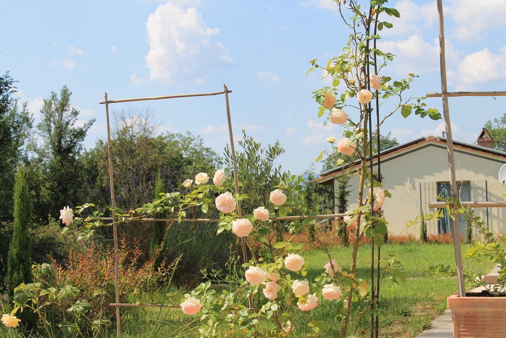 Agriturismo Dimore Di Poggianto Pergine Valdarno Εξωτερικό φωτογραφία